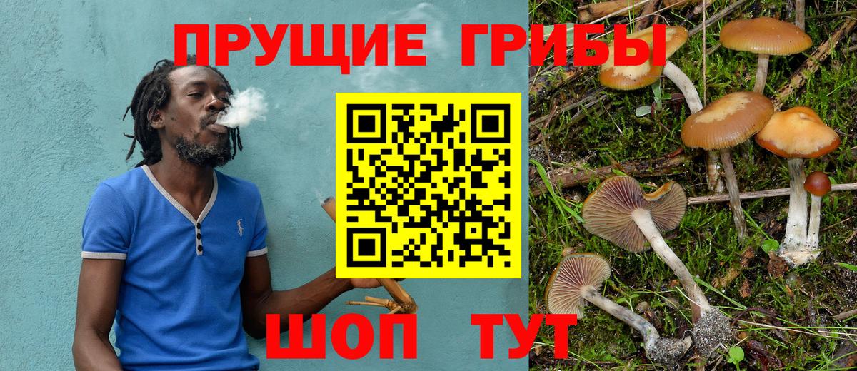 Галлюциногенные грибы Cubensis  Вход с VPN  Ишимбай 